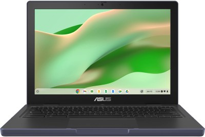 Asus Chromebook CR12 CR1204CTA-R80086, 12.2" Full HD+ IPS matt, Intel N150, 4 GB, 64 GB eMMC, WiFi 6, Chrome OS