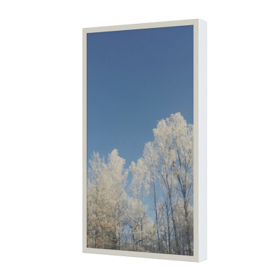 HI-ND Wall Casing PROTECT till Samsung QB50B/QM50B, porträtt - Vit#1