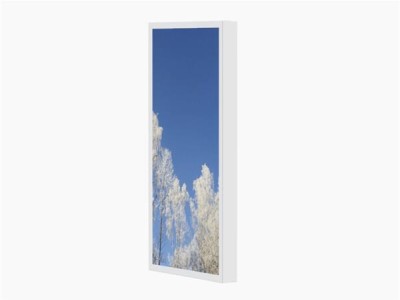 HI-ND Wall Casing PROTECT till Samsung QM55B/QB55B/QH55B, LG 55UH5F/UH7F, porträtt - Vit