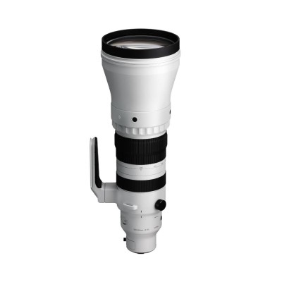 Sigma 300-600mm f/4 DG OS Sports till Sony FE#2
