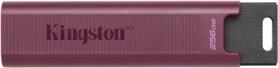 256 GB Kingston DataTraveler Max, USB 3.2#1