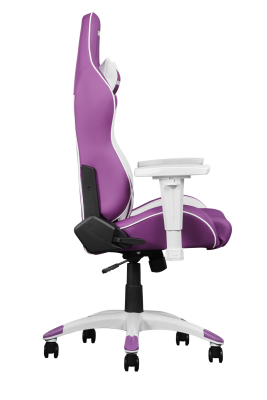 AKRacing California - Napa/Lila#2