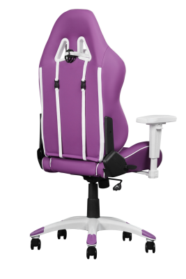 AKRacing California - Napa/Lila#3
