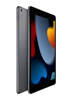Apple iPad (2021) 10,2 tum Wi-Fi 256 GB - Rymdgrå#2