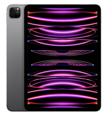 Apple iPad Pro 11-tum (2022) Wi-Fi + Cellular 128 GB - Rymdgrå#1