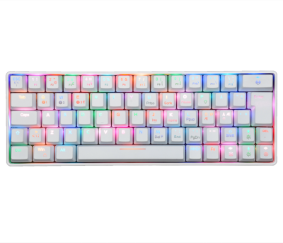 Fourze GK60 Gaming Keyboard 60%, USB-C/Bluetooth, RGB - Vit#2