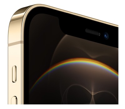 Apple iPhone 12 Pro 256 GB - Guld#2