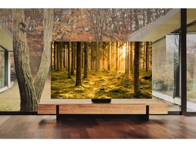 65" Samsung QN900B 8K Neo QLED, Quantum Mini LED 8K, HDR10+, Gaming TV 4K@120Hz#6