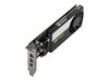 PNY Quadro T400, 2 GB GDDR6, Low Profile, 3xMiniDP#2