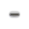 Apple Thunderbolt 3 (USB-C) till Thunderbolt 2-adapter#2