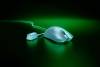 Razer Viper V3 Pro, RF/USB, 35000 dpi - Vit#2