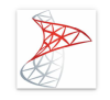 Microsoft SQL Server Standard 2022 Commercial Perpetual, E-licens 1 server
