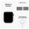 Apple Watch Series 8 GPS + Cellular, 41mm Silver Rostfri stålboett med Silver Milaneselänk#2